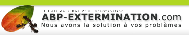 Exterminateur Parc Extension